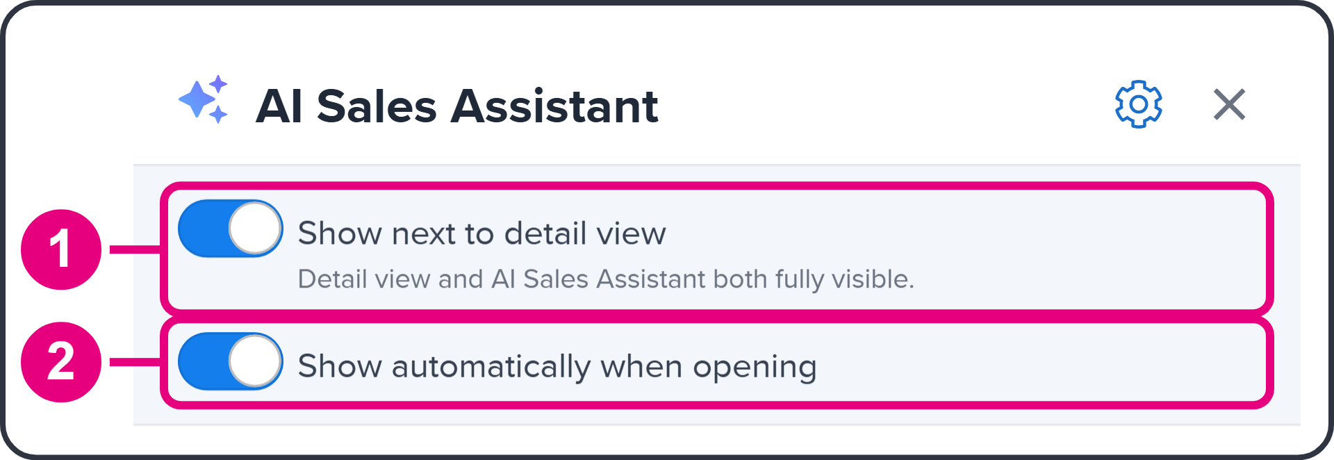 The assistant's display settings